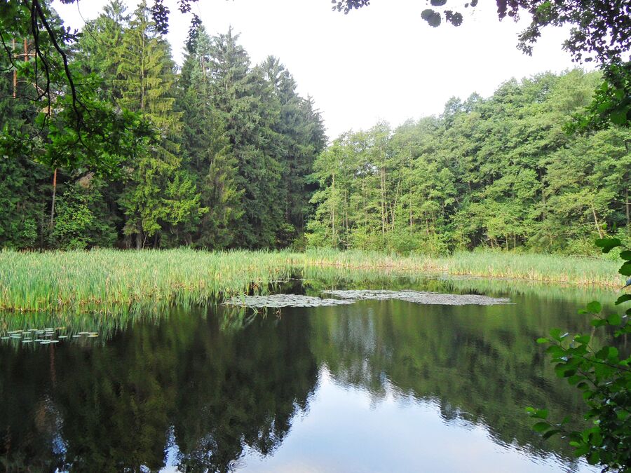 Schwarzer Teich