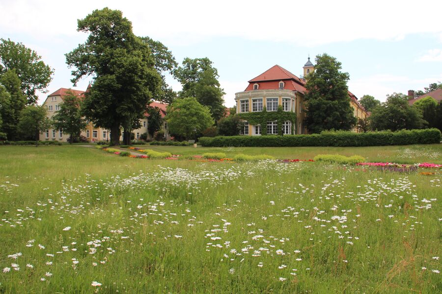 Blumenwiese im Schlosspark Pulsnitz © Evelin Rietschel