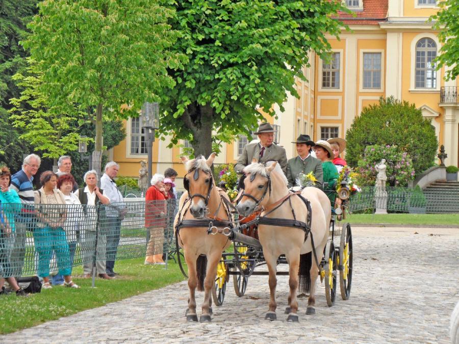 Schlossrundfahrt am Barockschloss Rammenau