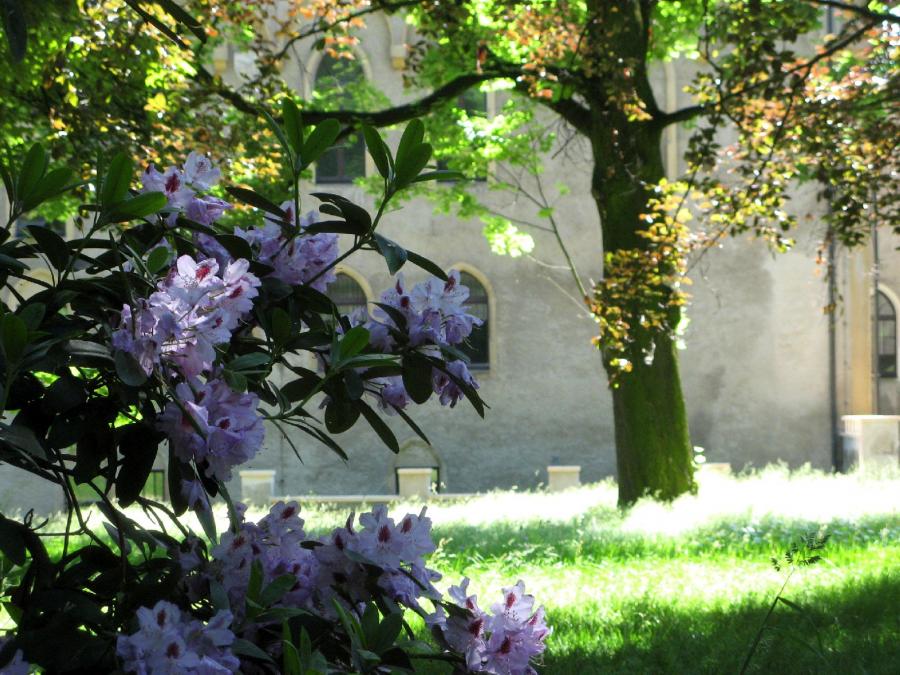 Schlosspark Schloss Seifersdorf Wachau