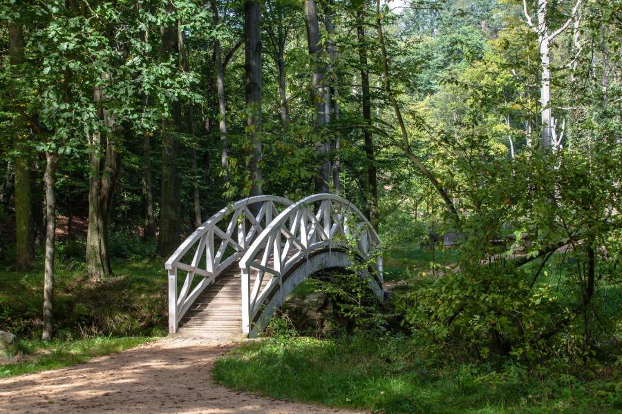 Brücke über die Große Röder im Seifersdorfer Tal Wachau